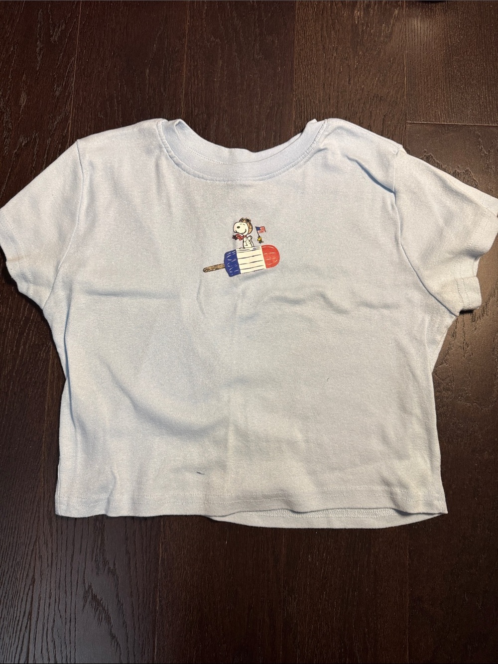 Peanuts Light Blue Short Sleeve Tee with Snoopy Popsicle Graphic